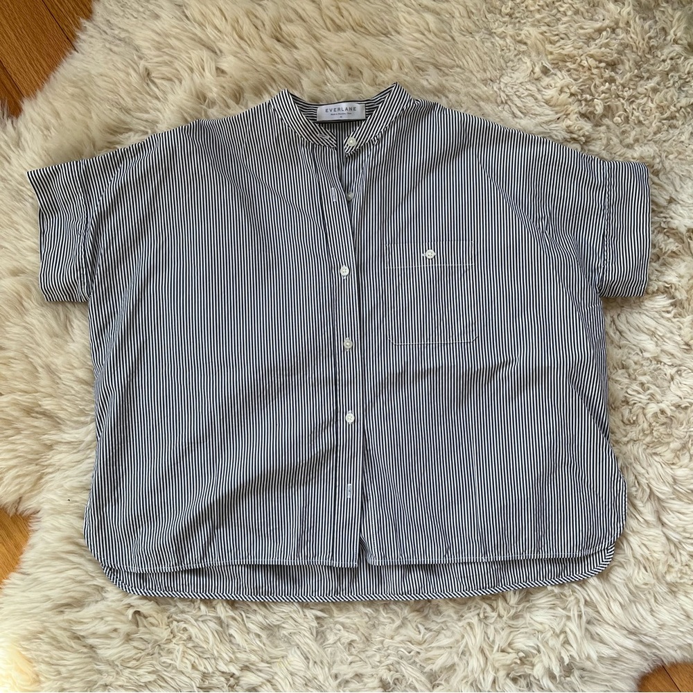 Everlane Boxy Striped Button Down